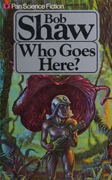 Cover of Who Goes Here?