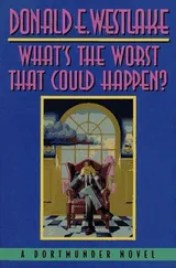 Cover of What's The Worst That Could Happen?
