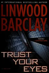 Cover of Trust Your Eyes