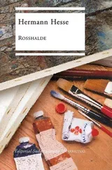 Cover of Rosshalde