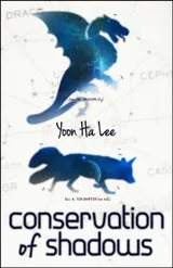 Cover of Conservation of Shadows