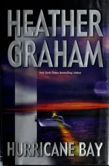 Cover of Hurricane bay