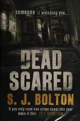 Cover of Dead Scared