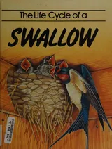 Cover of The Life Cycle of a Swallow