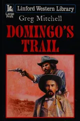Cover of Domingo's Trail