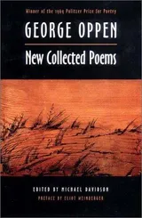Cover of New Collected Poems