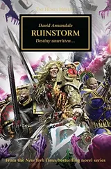Cover of Ruinstorm
