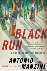 Cover of Black Run