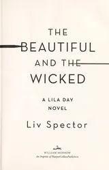 Cover of The Beautiful and the Wicked
