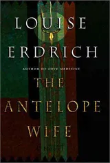 Cover of The Antelope Wife