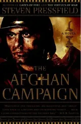 Cover of The Afghan Campaign