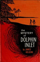 Cover of The mystery of Dolphin Inlet.