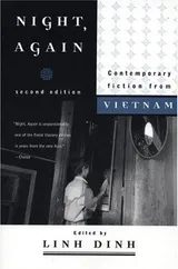 Cover of Night, Again: Contemporary Fiction from Vietnam