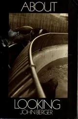 Cover of About Looking
