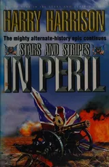 Cover of Stars and Stripes in Peril