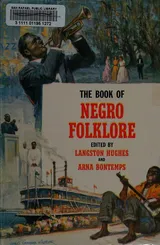 Cover of The book of Negro folklore