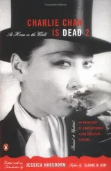 Cover of Charlie Chan Is Dead 2: At Home in the World