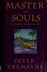Cover of Master of souls a mystery of ancient Ireland