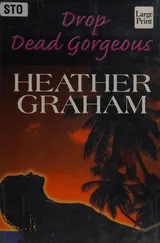 Cover of Drop Dead Gorgeous