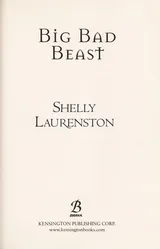 Cover of Big Bad Beast
