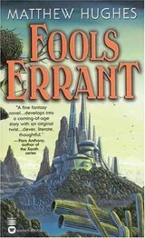 Cover of Fools Errant