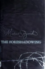 Cover of The foreshadowing