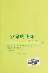 Cover of Zhi ming de fei xiang