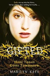 Cover of Here Today, Gone Tomorrow