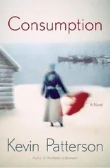 Cover of Consumption