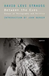 Cover of Between the Eyes: Essays on Photography and Politics
