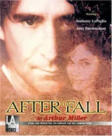 Cover of After the Fall
