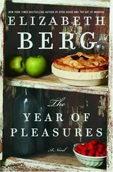 Cover of The Year of Pleasures