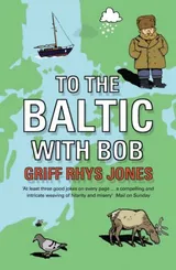 Cover of To the Baltic With Bob: An Epic Misadventure