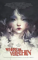 Cover of Where the Veil Is Thin
