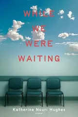 Cover of While We Were Waiting