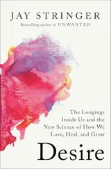 Cover of Desire: The Longings Inside Us and the New Science of How We Love, Heal, and Grow