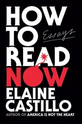 Cover of How to Read Now: Essays