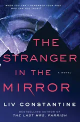 Cover of The Stranger in the Mirror