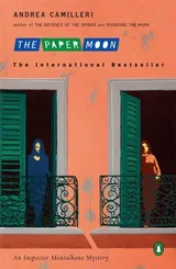 Cover of The Paper Moon