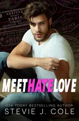 Cover of Meet Hate Love