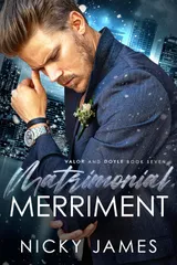 Cover of Matrimonial Merriment