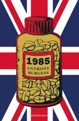Cover of 1985