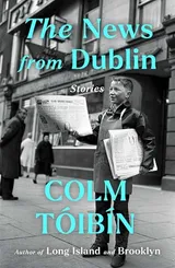 Cover of The News from Dublin: Stories