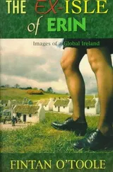 Cover of The Ex-Isle of Erin