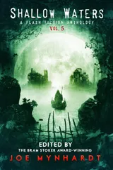 Cover of Shallow Waters, Vol. 5: A Flash Fiction Anthology