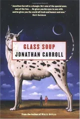 Cover of Glass Soup
