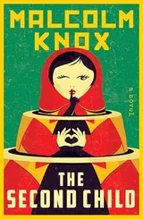 Cover of The Second Child