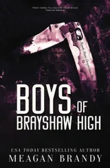 Cover of Boys of Brayshaw High
