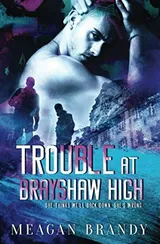 Cover of Trouble at Brayshaw High