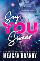 Cover of Say You Swear